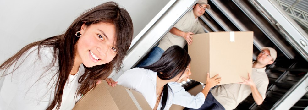 Professional Removalists Norpa